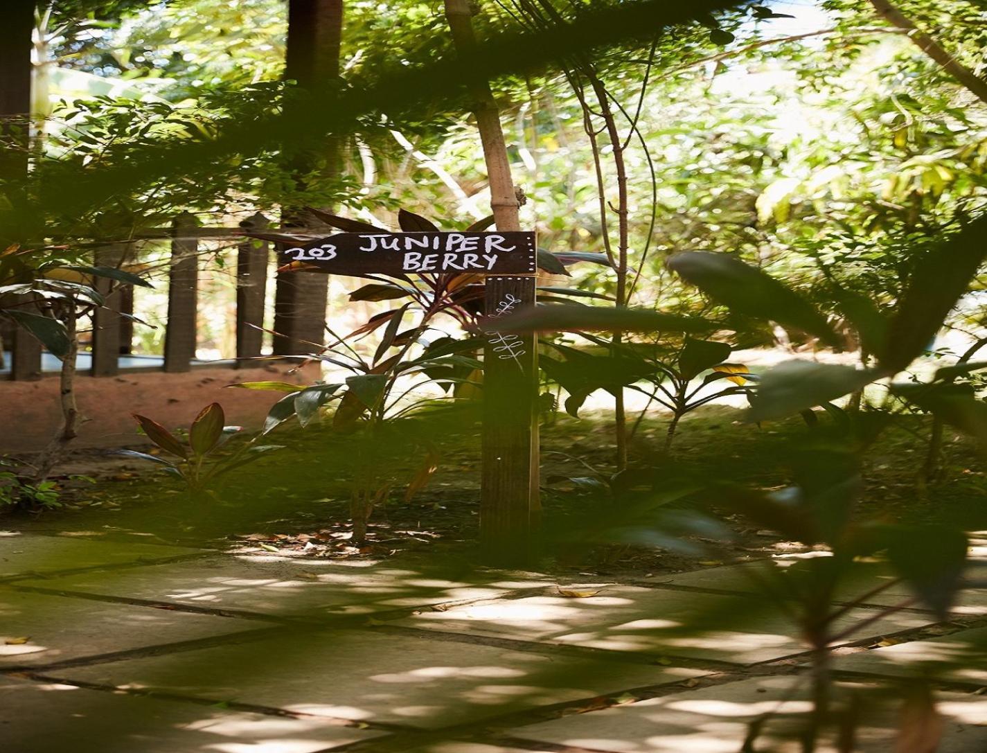 Jamboree Creek Yoga Мандрем Екстер'єр фото